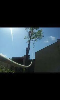 Trusted lawn mowing service for outdoor upgrades across Wichita, KS - Squirrels Lawn and Tree Service