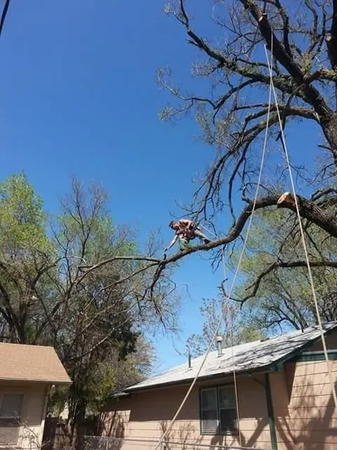 Custom lawn mowing service in Wichita, KS by Squirrels Lawn and Tree Service