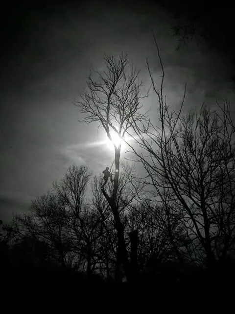 Local lawn mowing service in Wichita, KS by Squirrels Lawn and Tree Service