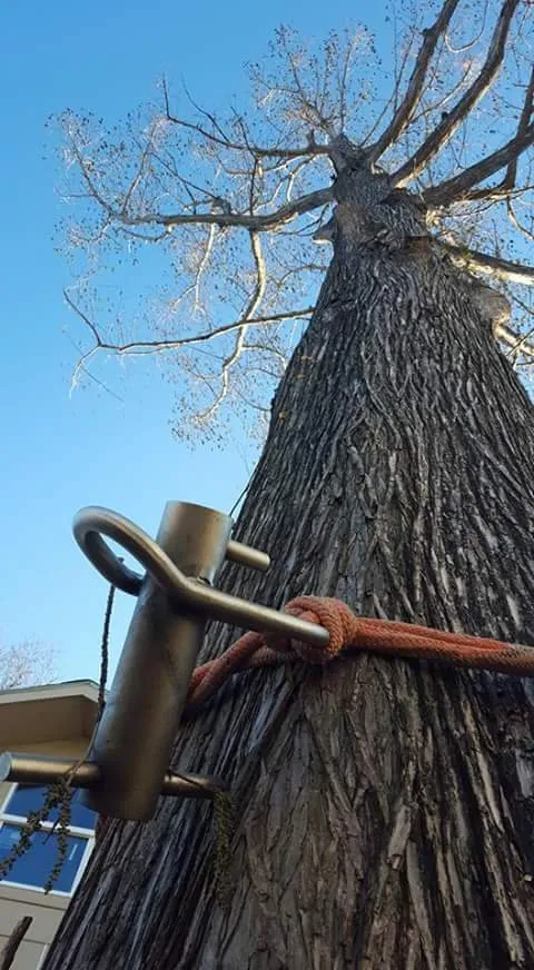 Top-rated garden landscaping with custom design across Wichita, KS - Squirrels Lawn and Tree Service