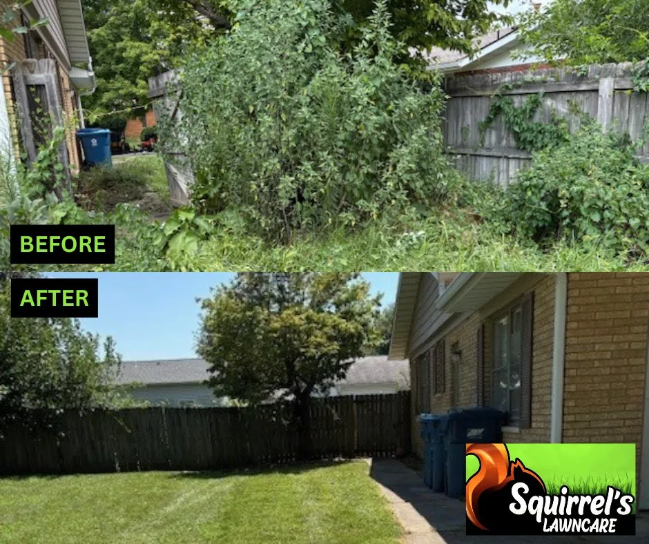 Trusted yard maintenance experts serving Springfield, IL - Squirrel's LawnCare