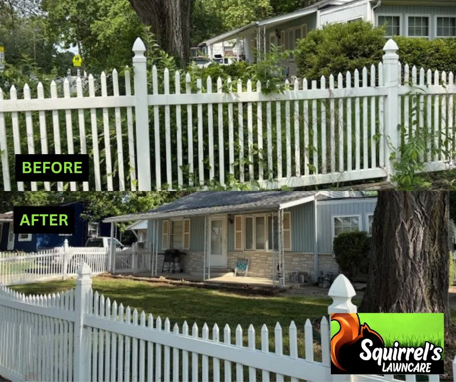 Reliable landscape design near you across Springfield, IL - Squirrel's LawnCare