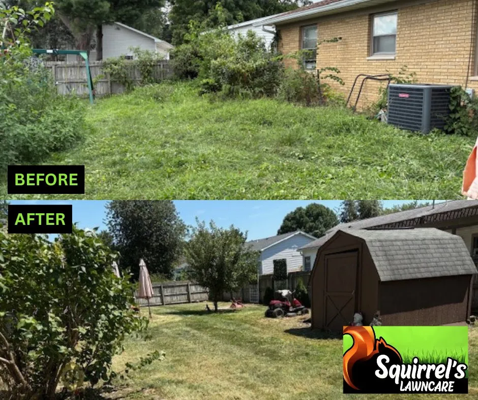 Affordable yard cleanup service for residential properties in Springfield, IL by Squirrel's LawnCare