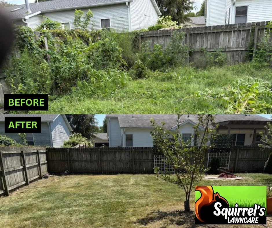 Reliable yard maintenance for homes across Springfield, IL - Squirrel's LawnCare