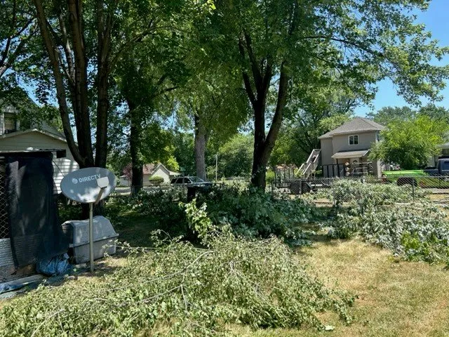 Expert yard maintenance in Springfield, IL - Squirrel's LawnCare