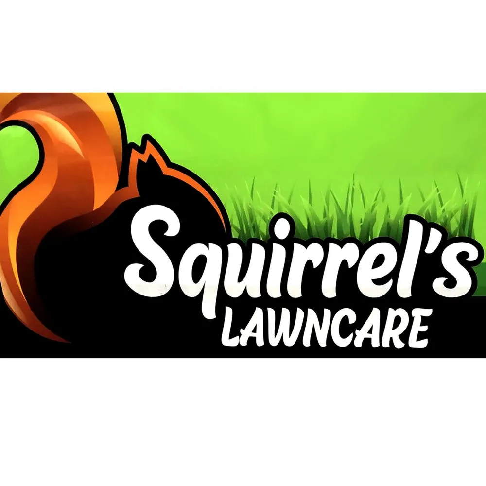 Trusted yard cleanup service for residential properties in Springfield, IL by Squirrel's LawnCare