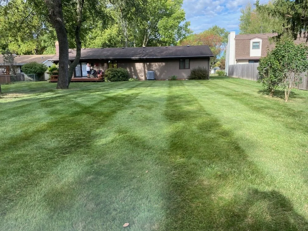 Top-rated residential landscaping experts serving Springfield, IL - Squirrel's LawnCare