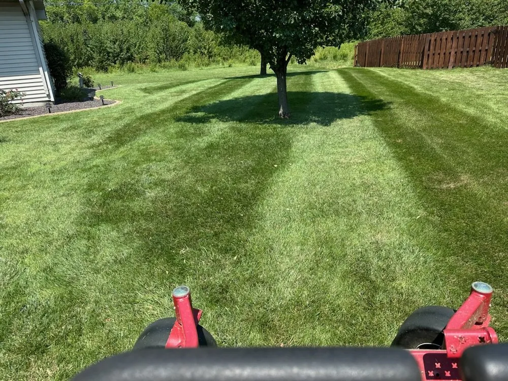Local landscape installation experts serving Springfield, IL - Squirrel's LawnCare