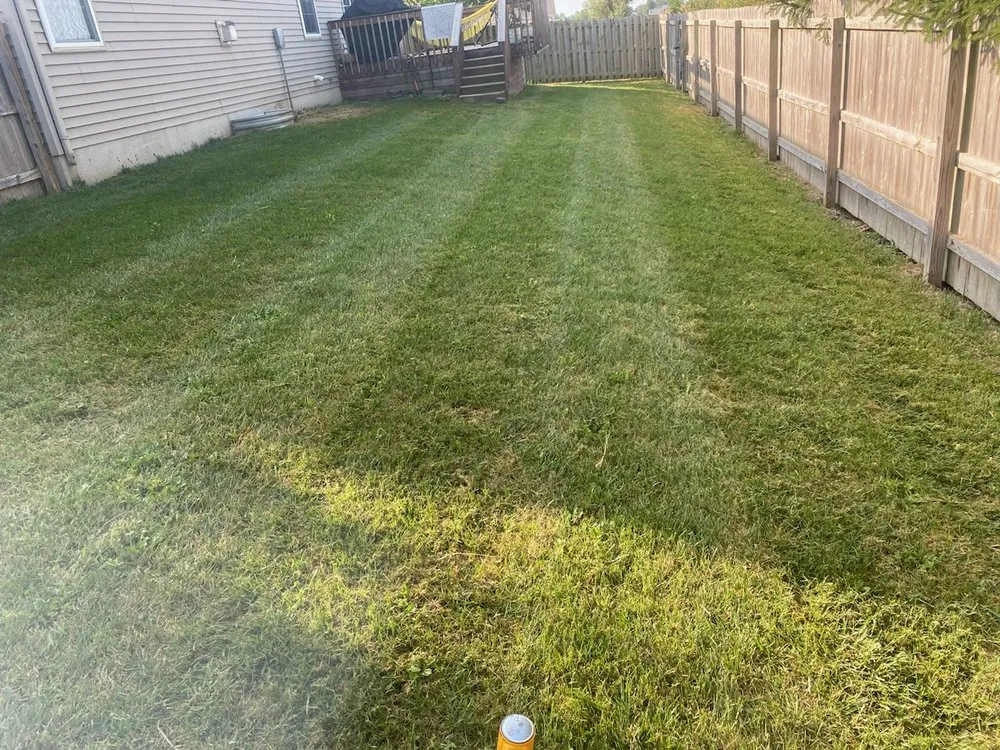Affordable lawn mowing service for outdoor upgrades across Springfield, IL - Squirrel's LawnCare