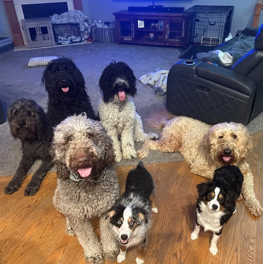 Local lawn care service experts serving Springfield, IL - Squirrel's LawnCare