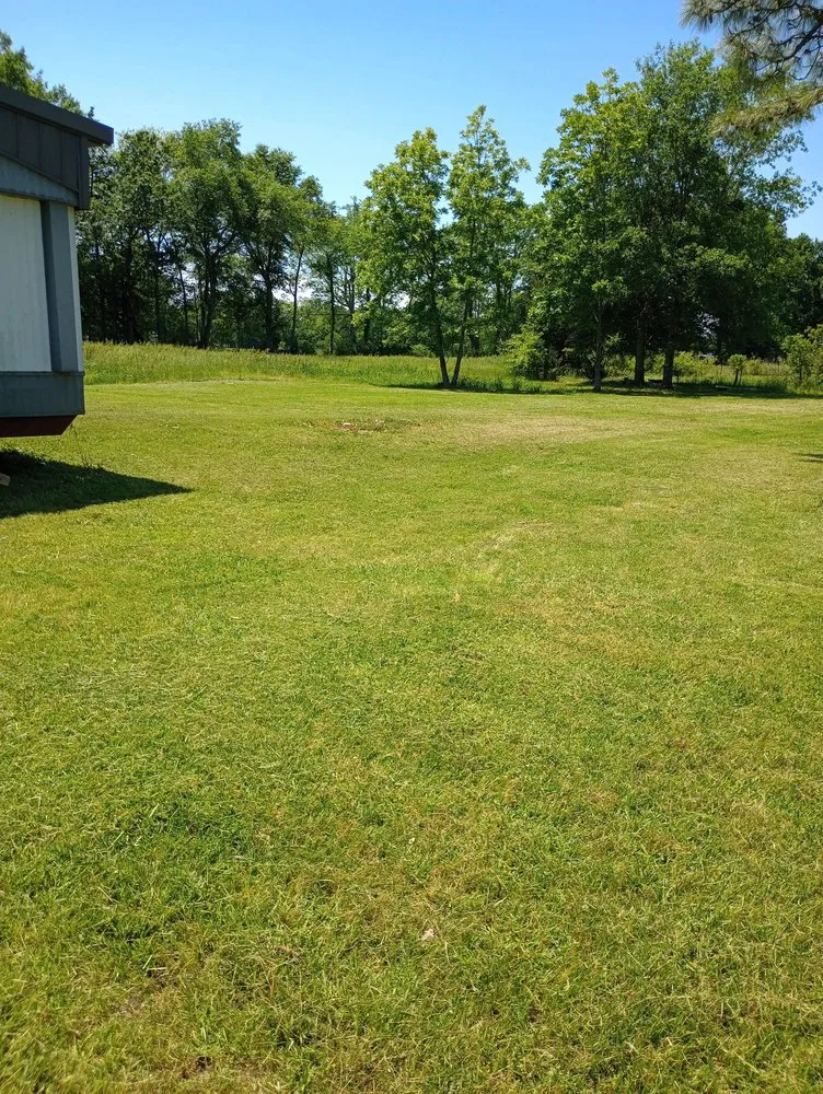 Top-rated yard cleanup service in Marksville, LA by Squirrel's Leaf N Lawn Service