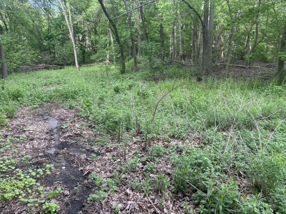 Top-rated landscaping services in Pembroke, MA by SR Enterprises LLC.