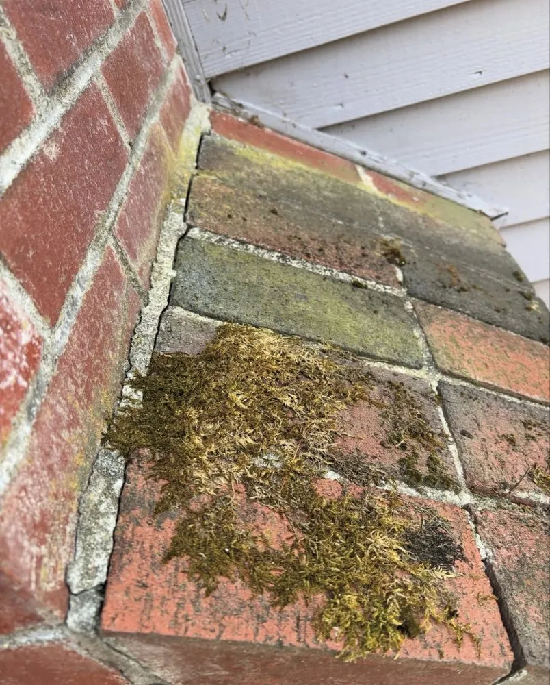 Reliable landscape installation in Pembroke, MA by SR Enterprises LLC.