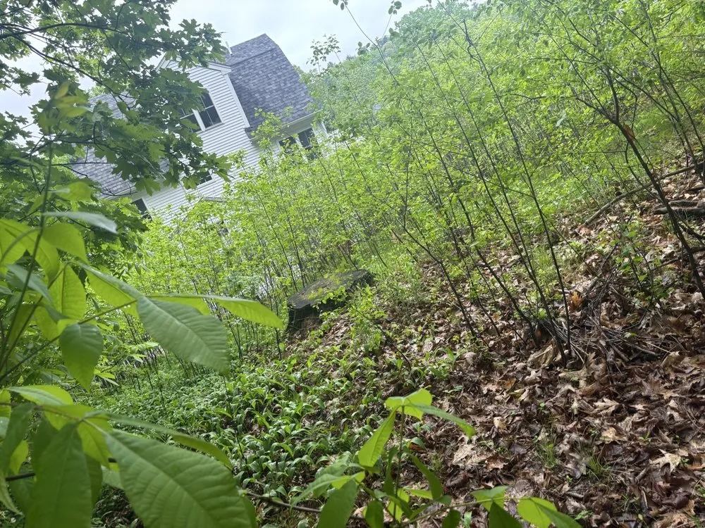 Reliable landscape installation experts serving Pembroke, MA - SR Enterprises LLC.