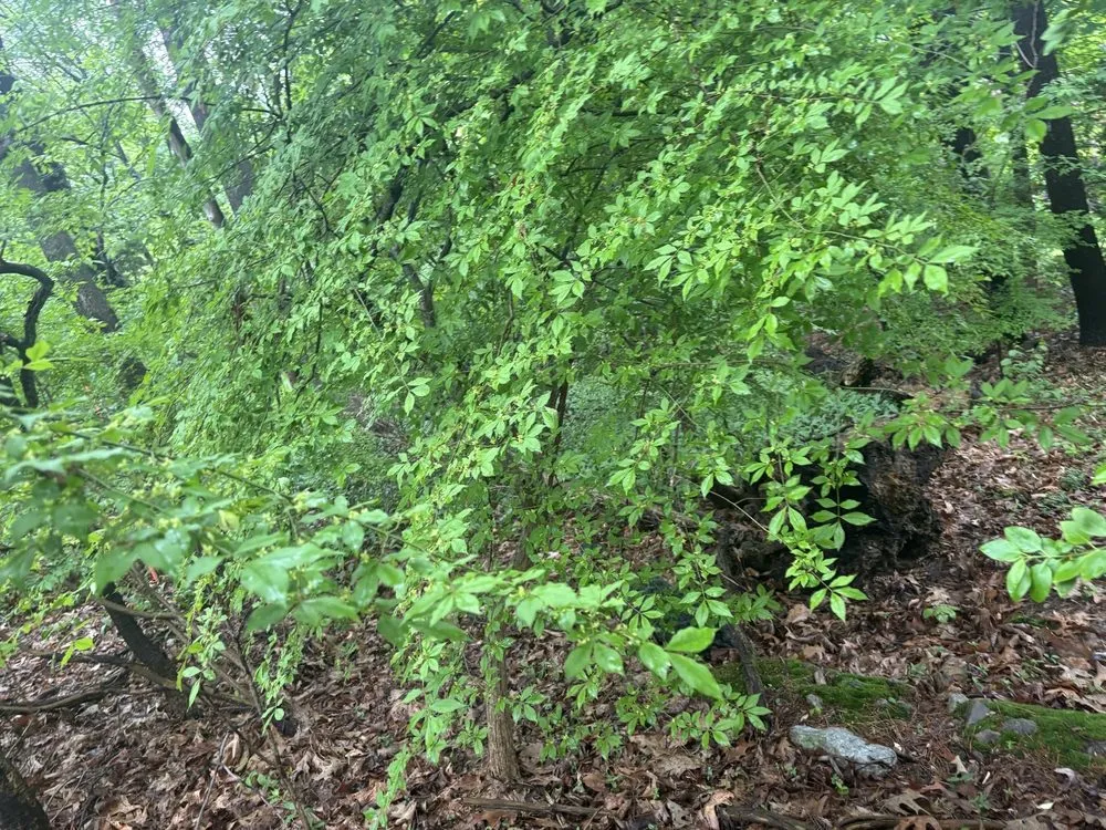 Top-rated garden landscaping experts serving Pembroke, MA - SR Enterprises LLC.