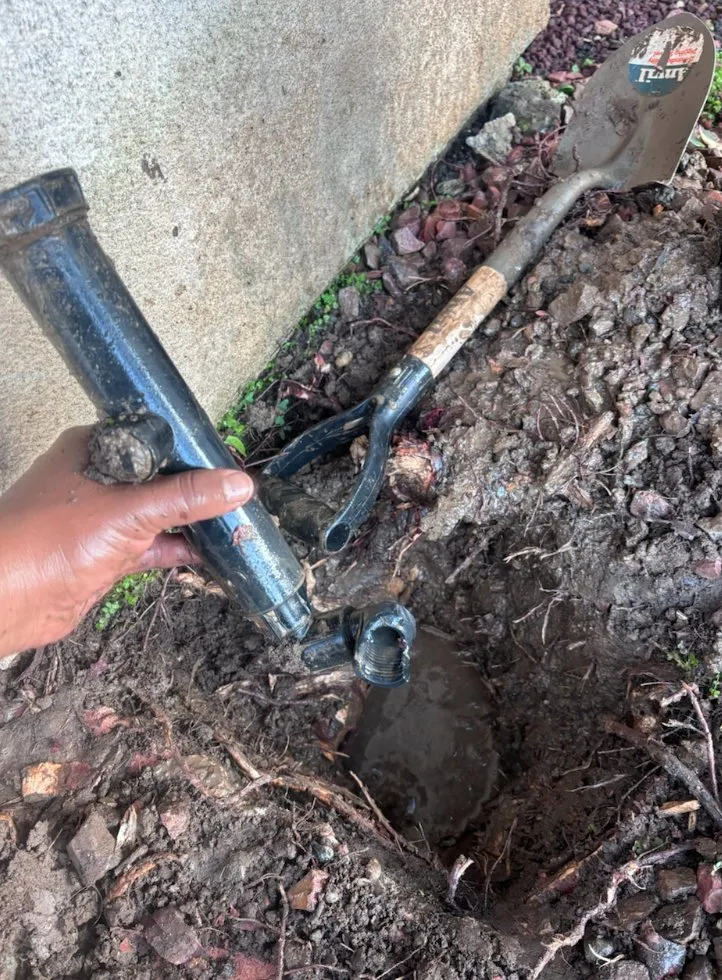 Professional yard maintenance for residential properties across Long Beach, CA - S&R Landscape Development