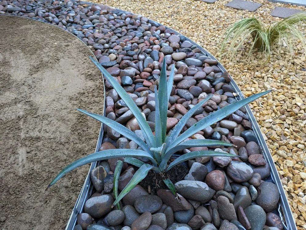 Custom landscape design for residential properties across Montclair, CA - Sr Landscape