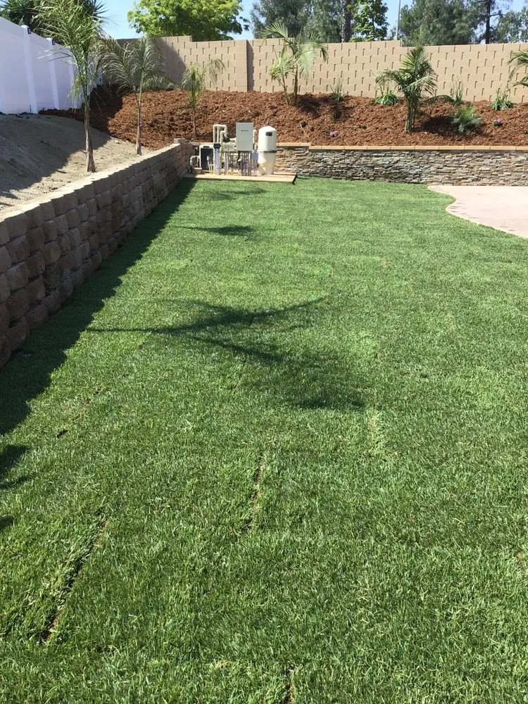 Local lawn care service experts serving Montclair, CA - Sr Landscape