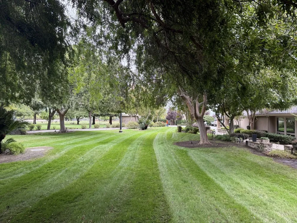 Custom lawn care service for residential properties in Fresno, CA by S&R Landscaping