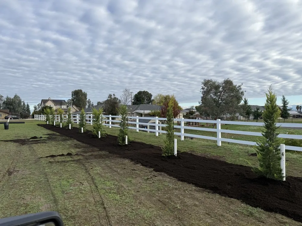 Expert yard maintenance experts serving Fresno, CA - S&R Landscaping