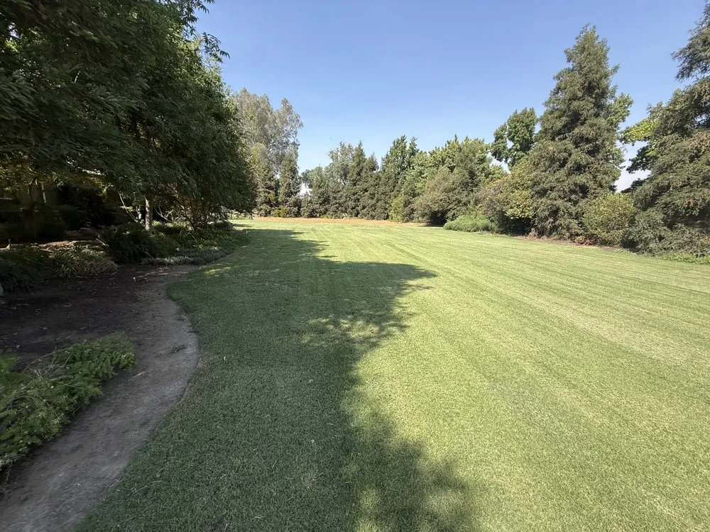 Affordable landscape installation with custom design in Fresno, CA by S&R Landscaping