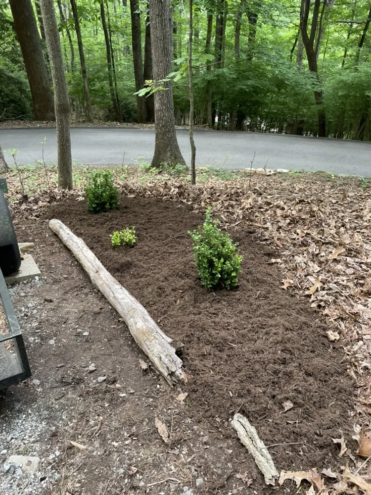 Professional yard maintenance experts serving Hendersonville, NC - S&R landscaping