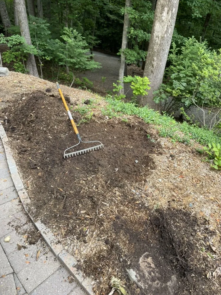 Local yard cleanup service near you across Hendersonville, NC - S&R landscaping