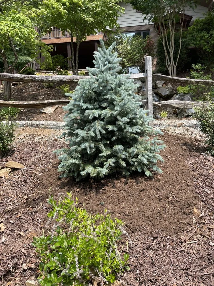 Top-rated landscape installation for residential properties in Hendersonville, NC by S&R landscaping