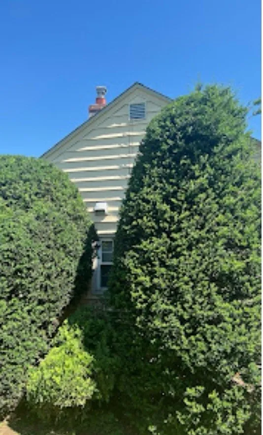 Trusted landscape installation in Paterson, NJ - SR lansdcaping