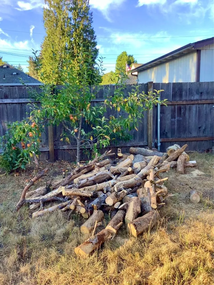 Top-rated yard cleanup service for outdoor upgrades across Vancouver, WA - SR Lawn & Tree Care