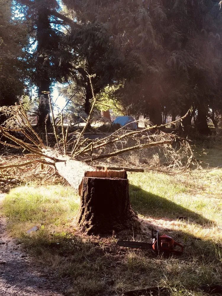 Custom landscape installation for year-round maintenance in Vancouver, WA by SR Lawn & Tree Care