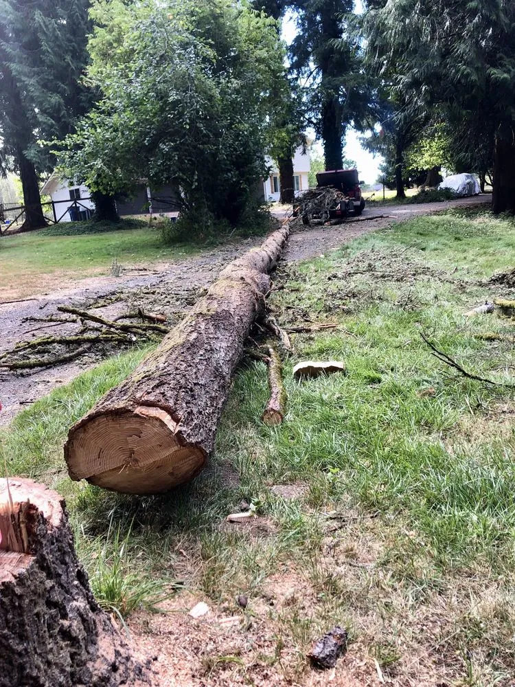 Affordable outdoor landscaping for beautiful yards across Vancouver, WA - SR Lawn & Tree Care