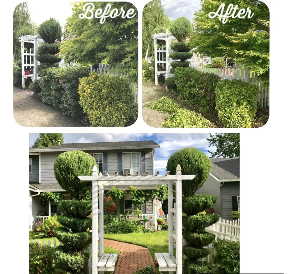 Custom lawn care service with custom design in Vancouver, WA by SR Lawn & Tree Care