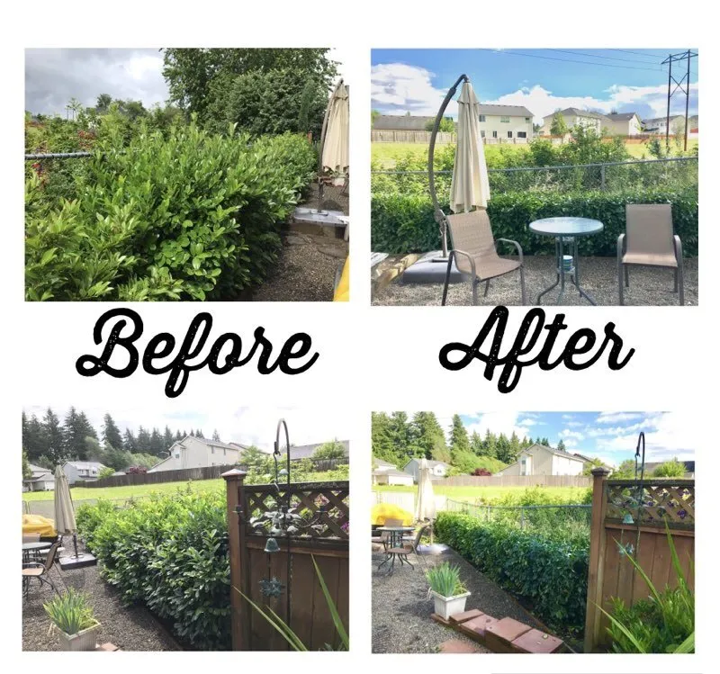 Trusted landscaping services near you across Vancouver, WA - SR Lawn & Tree Care