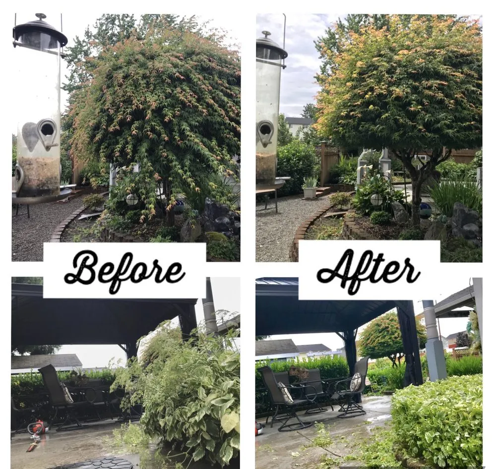 Expert lawn mowing service experts serving Vancouver, WA - SR Lawn & Tree Care