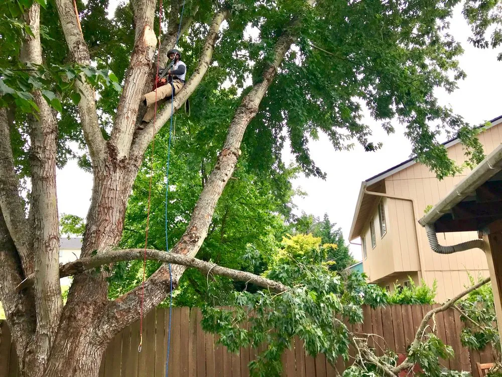 Affordable landscape installation in Vancouver, WA - SR Lawn & Tree Care