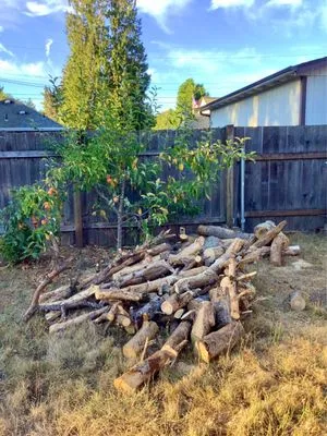 SR Lawn & Tree Care Logo