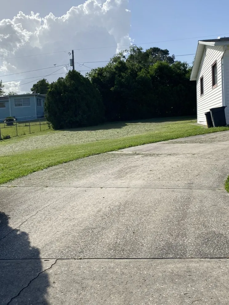 Professional yard cleanup service in Crystal River, FL - SR Lawn Care