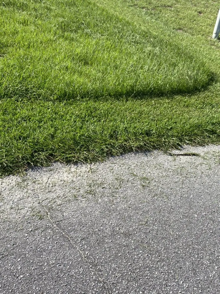 Reliable outdoor landscaping in Crystal River, FL - SR Lawn Care