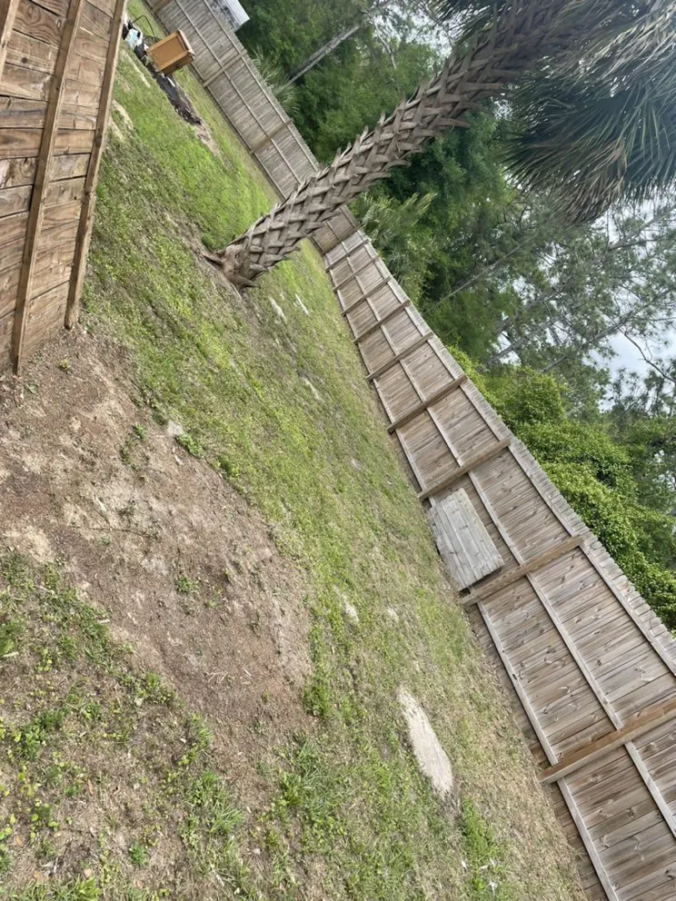 Top-rated lawn mowing service for beautiful yards across Crystal River, FL - SR Lawn Care