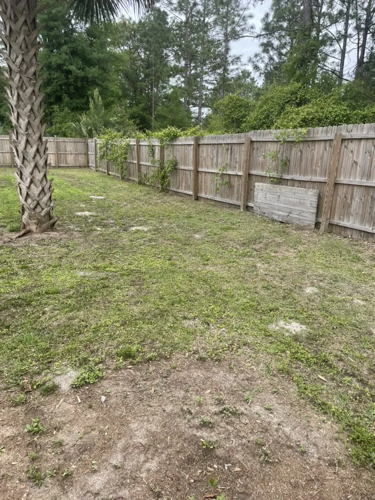 Trusted landscape installation experts serving Crystal River, FL - SR Lawn Care