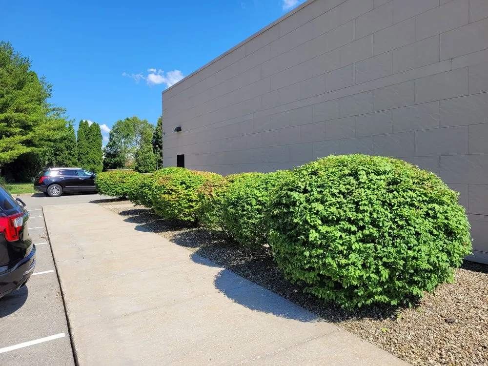 Reliable yard cleanup service experts serving Greenville, PA - S&R Lawn Care