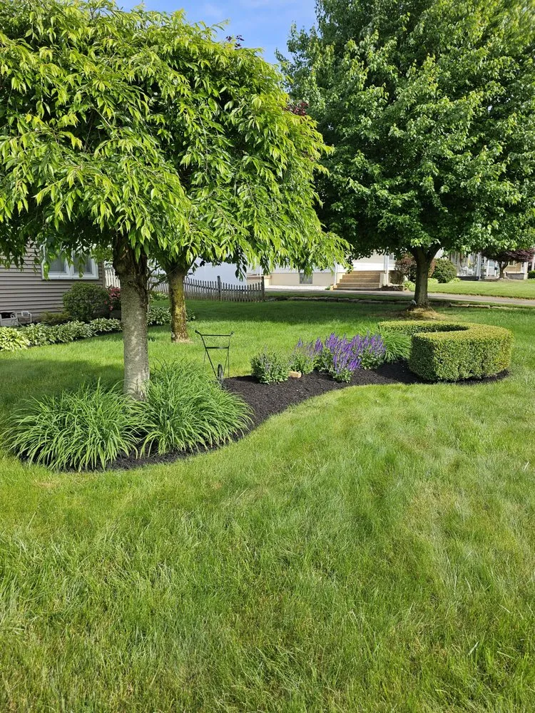 Local landscaping services in Greenville, PA by S&R Lawn Care