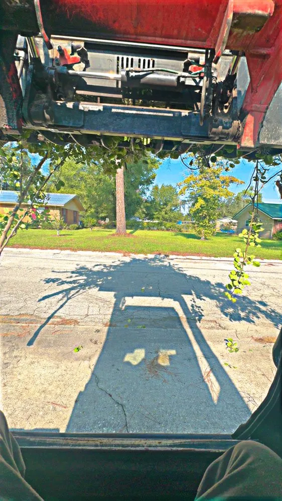 Professional landscape installation in Live Oak, FL - SR Lawn Tree & Land Services