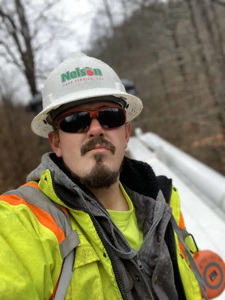 Custom landscape installation in Hazard, KY by S&R Tree Trimming