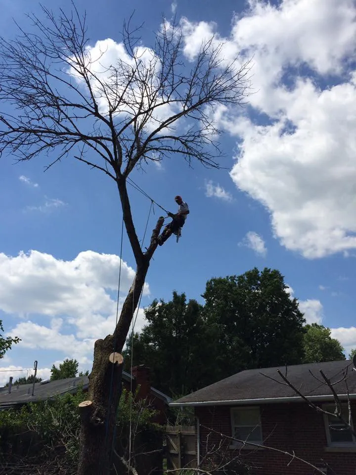 Expert lawn care service for residential properties in Hazard, KY by S&R Tree Trimming
