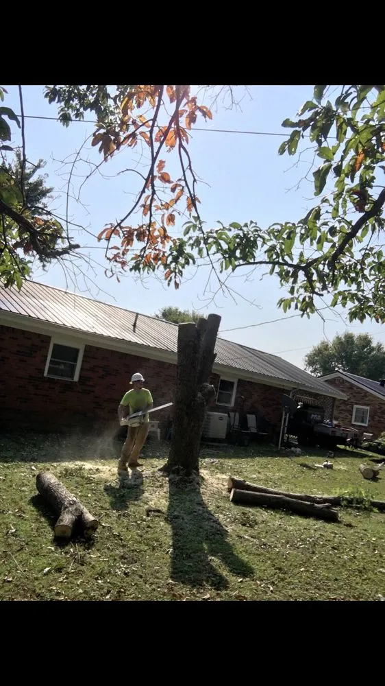 Reliable outdoor landscaping for year-round maintenance across Hazard, KY - S&R Tree Trimming