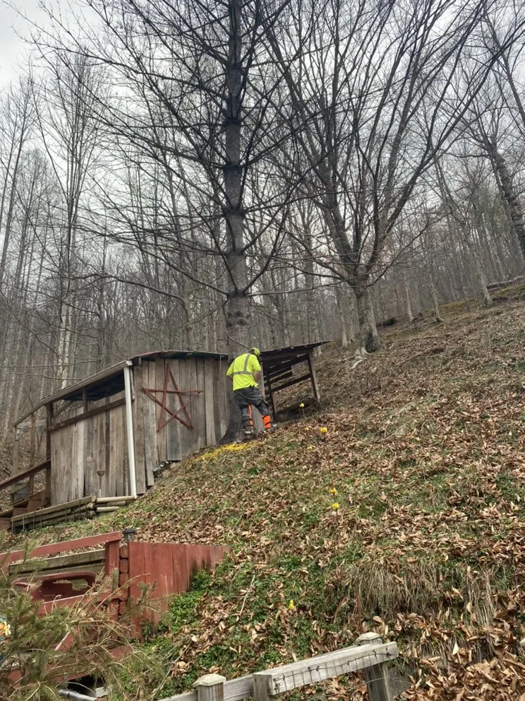 Affordable landscape design in Hazard, KY - S&R Tree Trimming