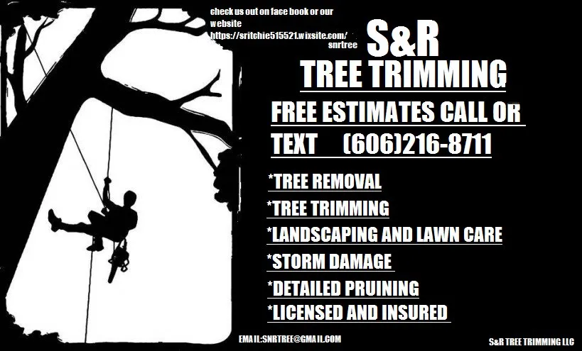 Expert yard cleanup service in Hazard, KY by S&R Tree Trimming