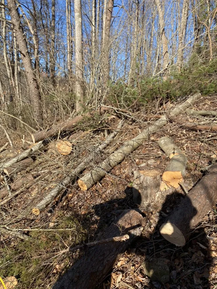 Expert outdoor landscaping in Hazard, KY by S&R Tree Trimming